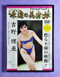 Yoshino Ria dvd-Idol collectior's edition