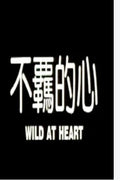 Wild at heart (1993 vcd